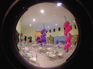 dsc00008.gif